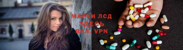 PSILOCYBIN Лихославль