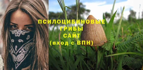 винт Магас