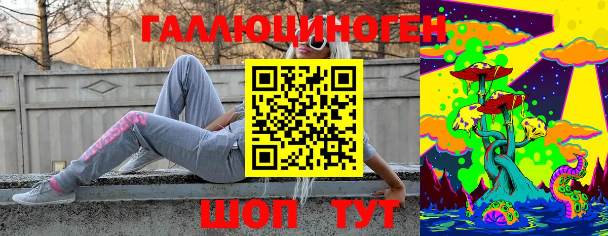 Псилоцибиновые грибы Magic Shrooms  Галлюциногенные грибы Psilocybine cubensis  Вход с VPN  Луга 