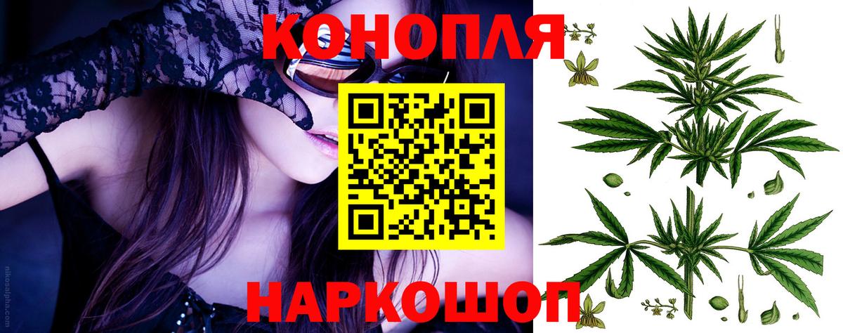 Конопля конопля Луга